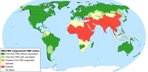 WRLFMD conjectured FMD status Jan 2025